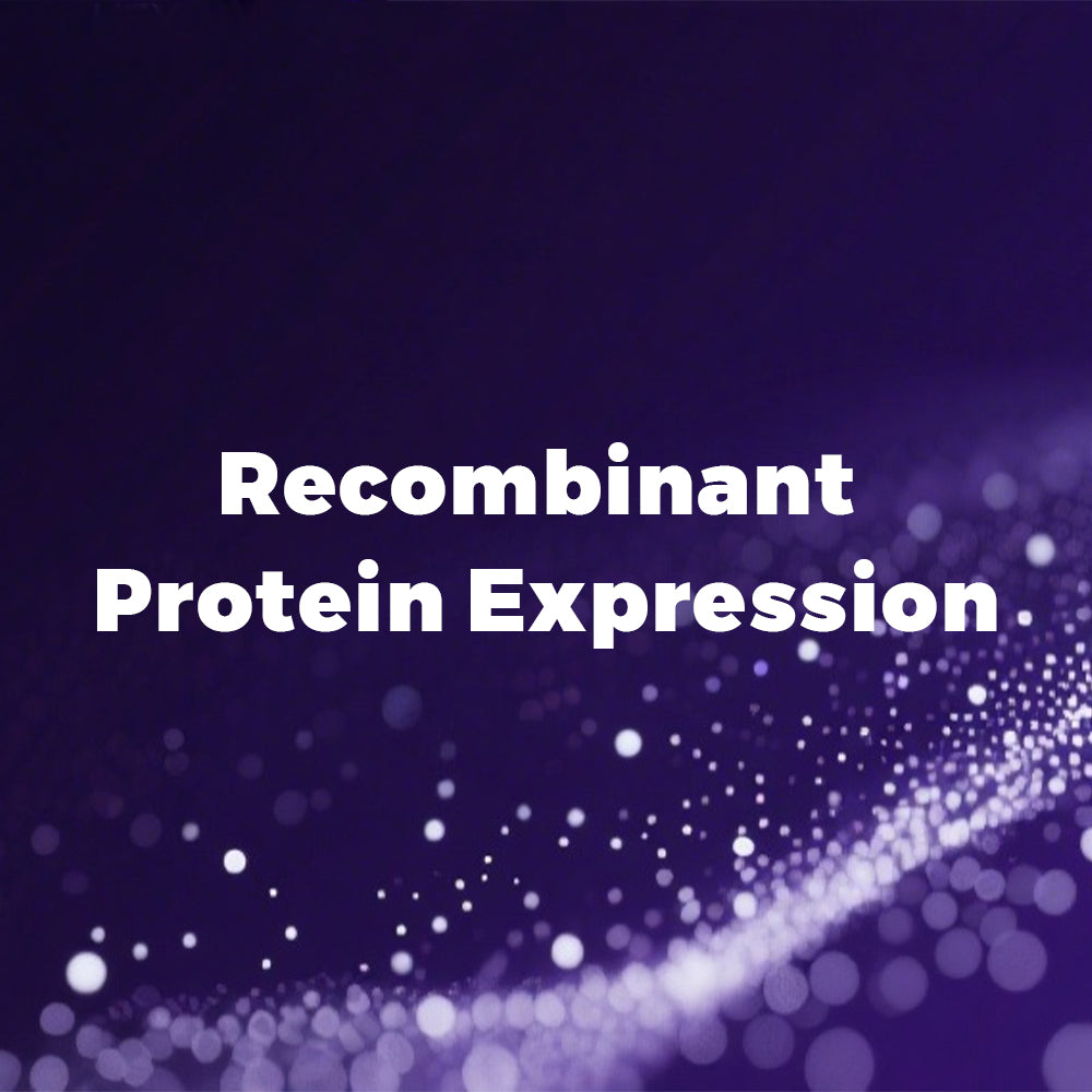Recombinant Protein Expression