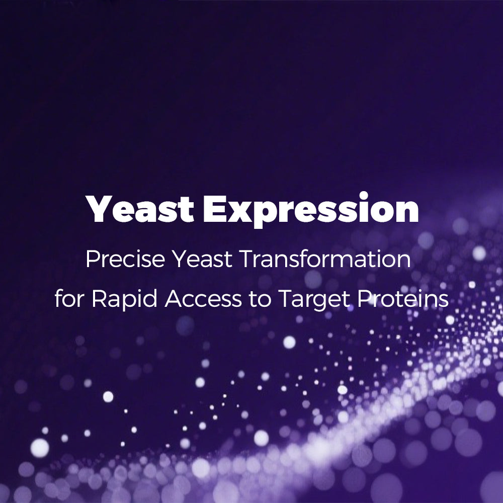 Yeast Expression