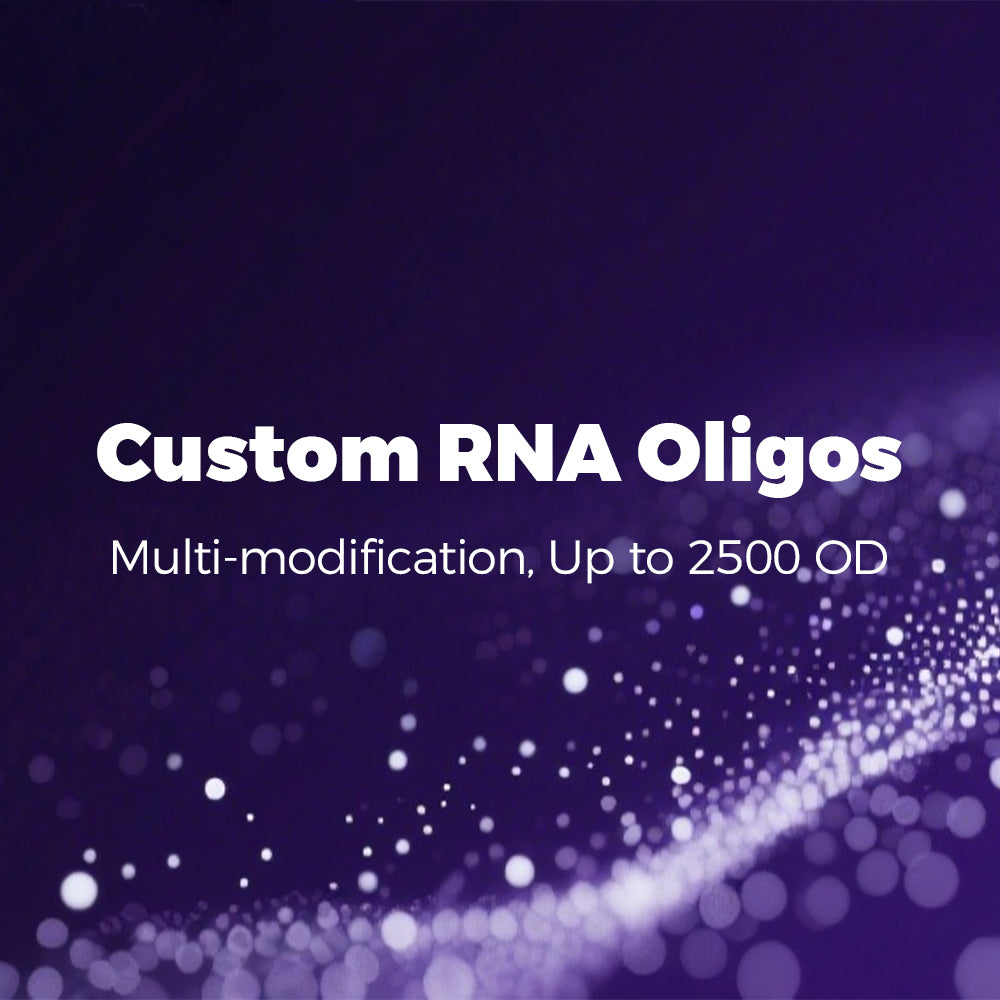 Custom RNA Oligos
