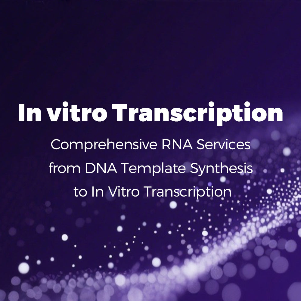 In vitro Transcription