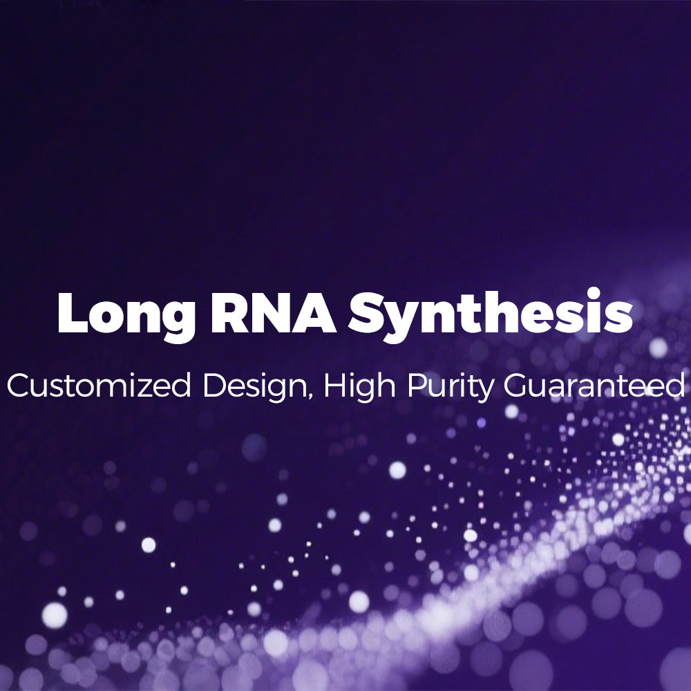 Long RNA Synthesis