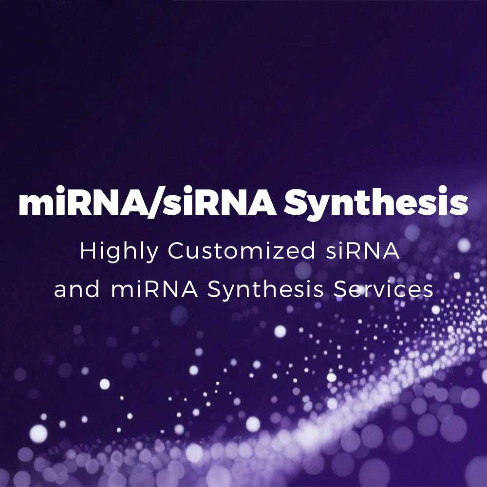 miRNA / siRNA Synthesis