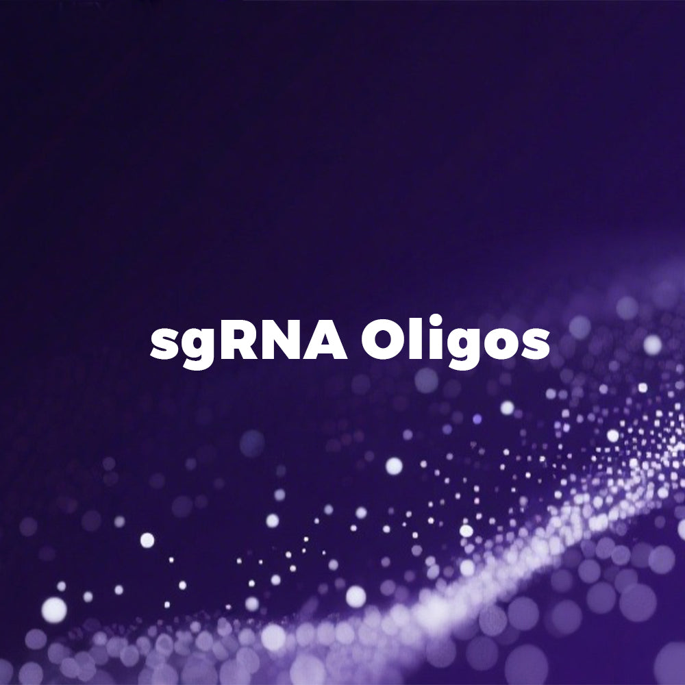 sgRNA Oligos