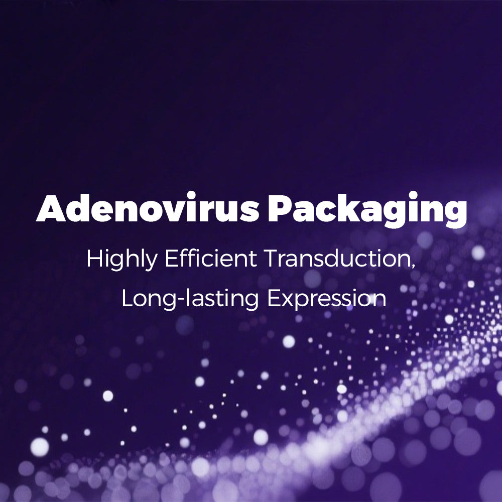 Adenovirus Packaging