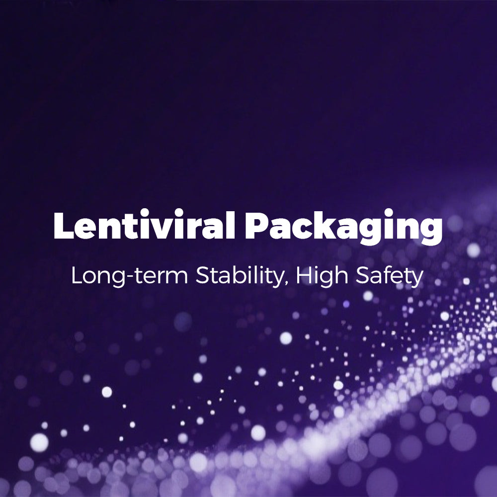 Lentiviral Packaging
