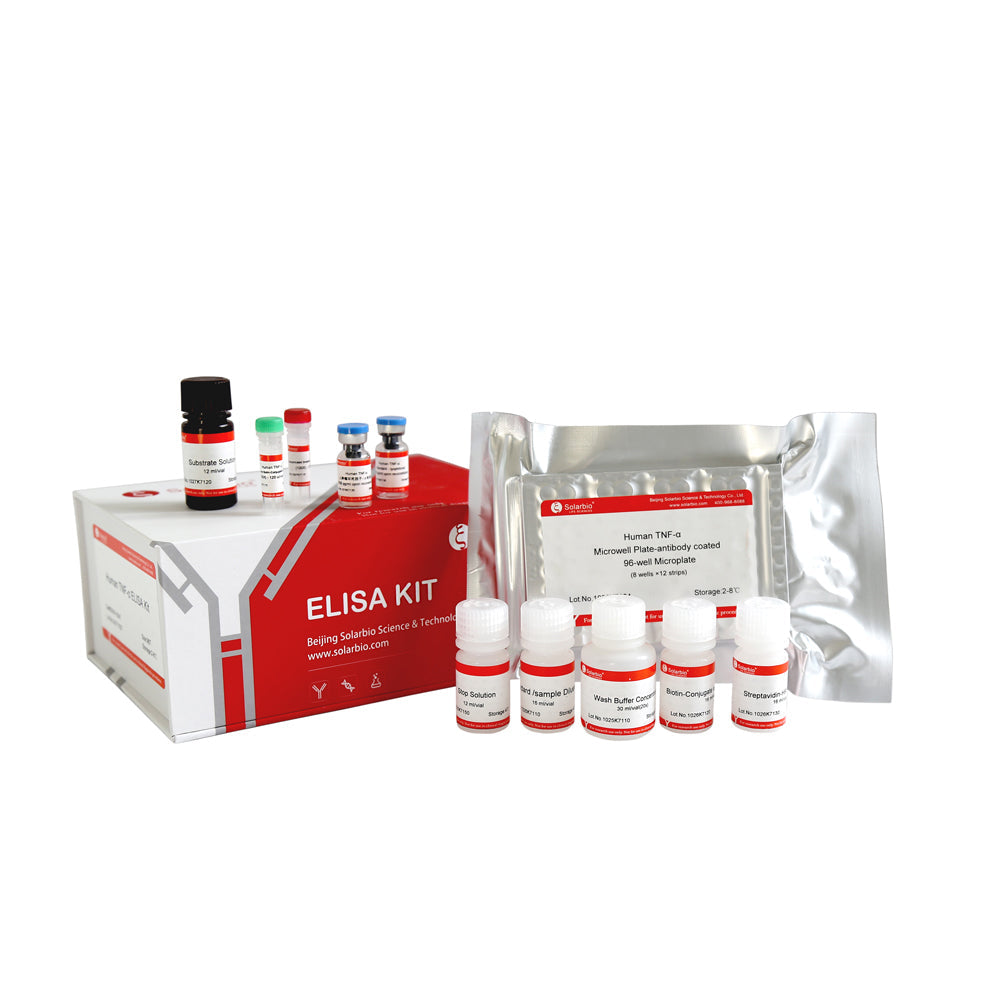 Human TNF-α ELISA KIT-96T, Store at 2-8℃ for Maximum Stability