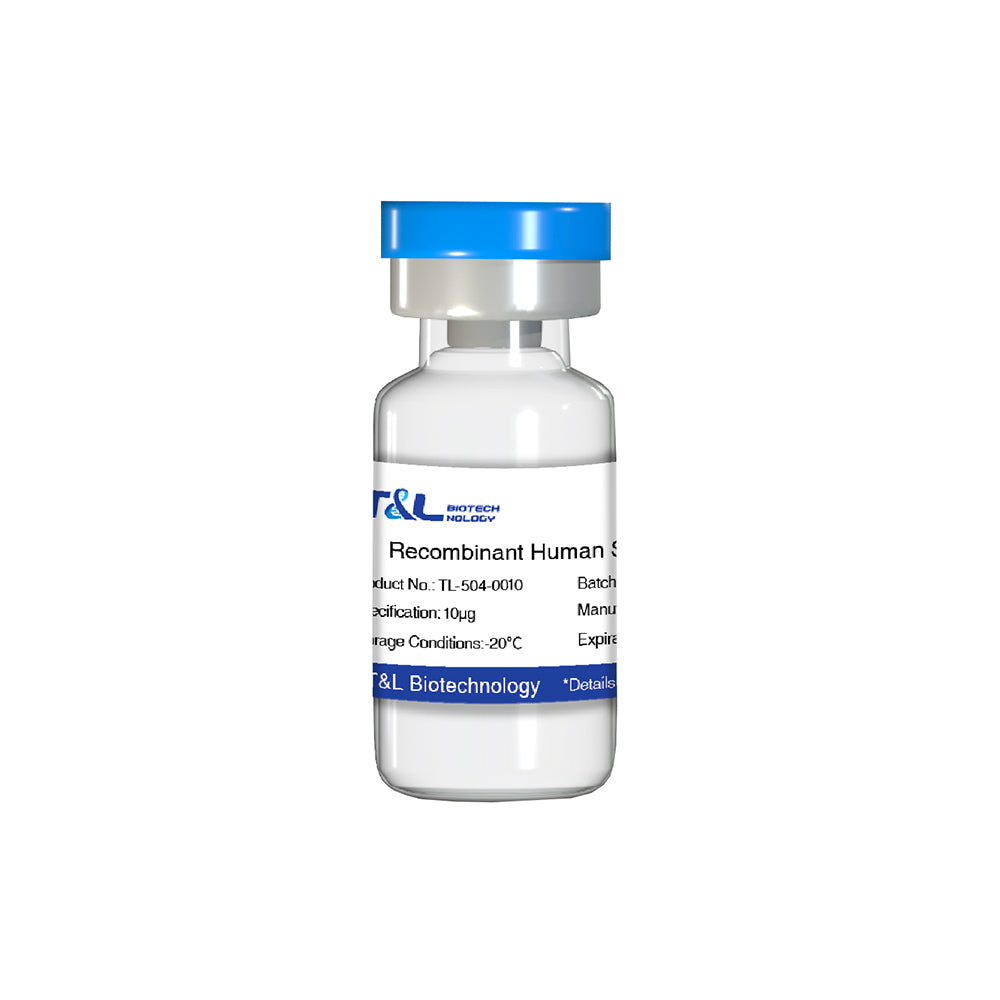 Recombinant Human SCF Protein, 10μg