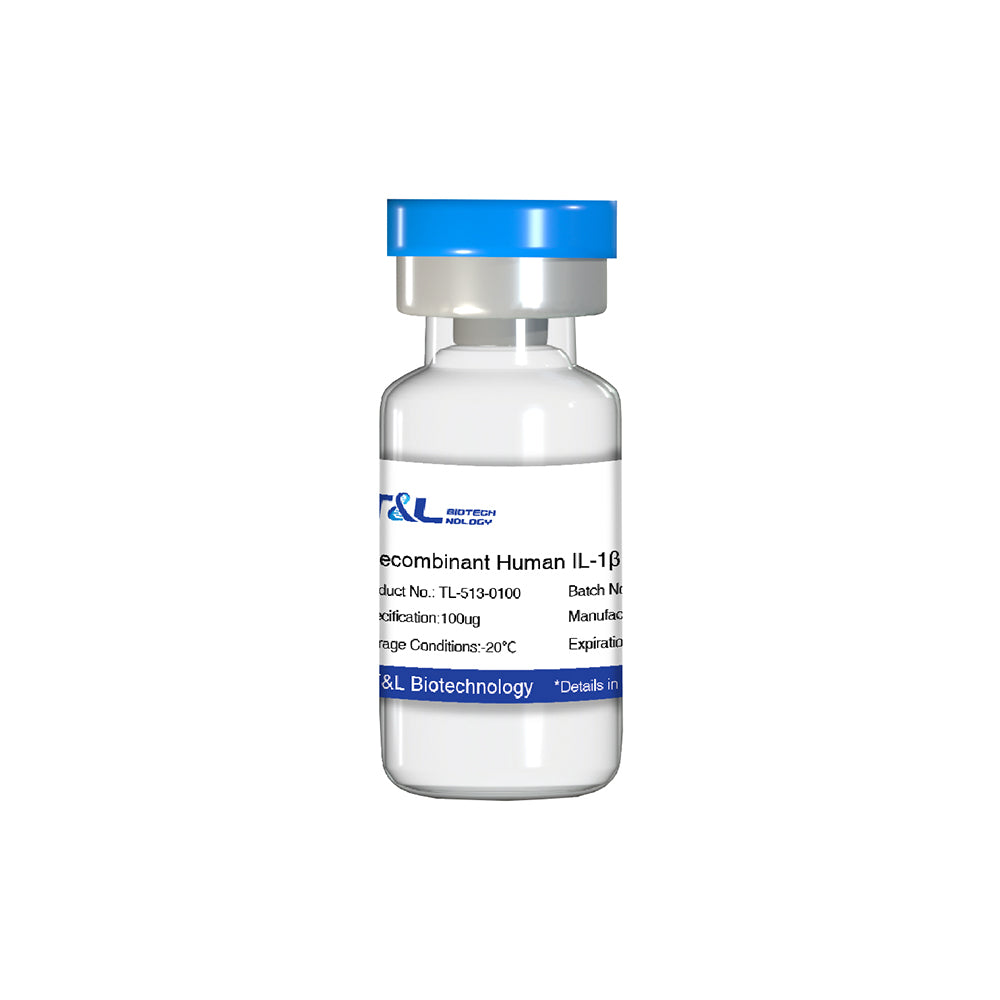 Recombinant Human IL-1β Protein, 100μg