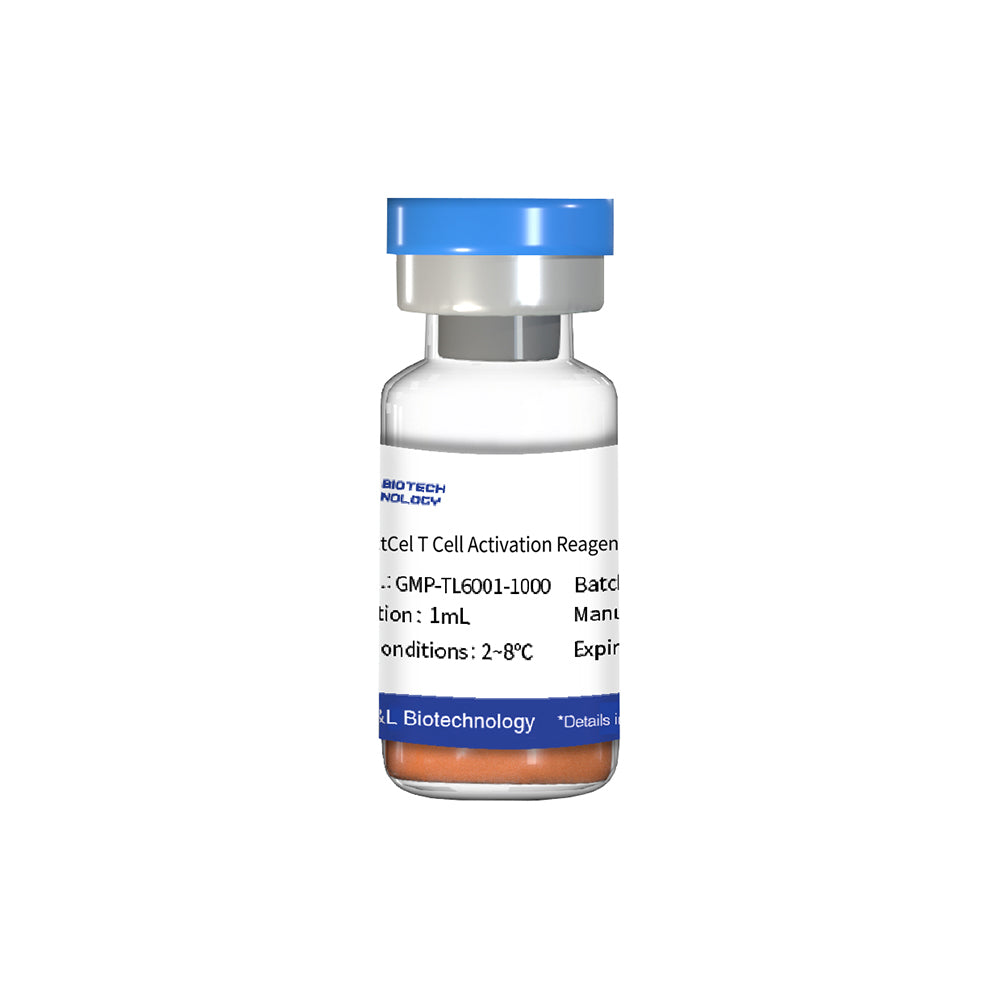ActCel T Cell Activation Reagent, 1mL