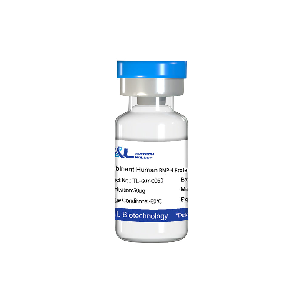 Recombinant Human BMP-4 Protein, 50μg