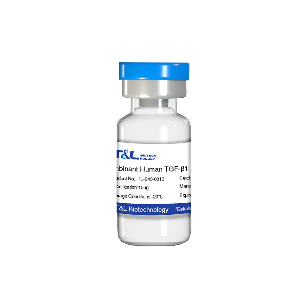 Recombinant Human TGF-β1 Protein, 10μg