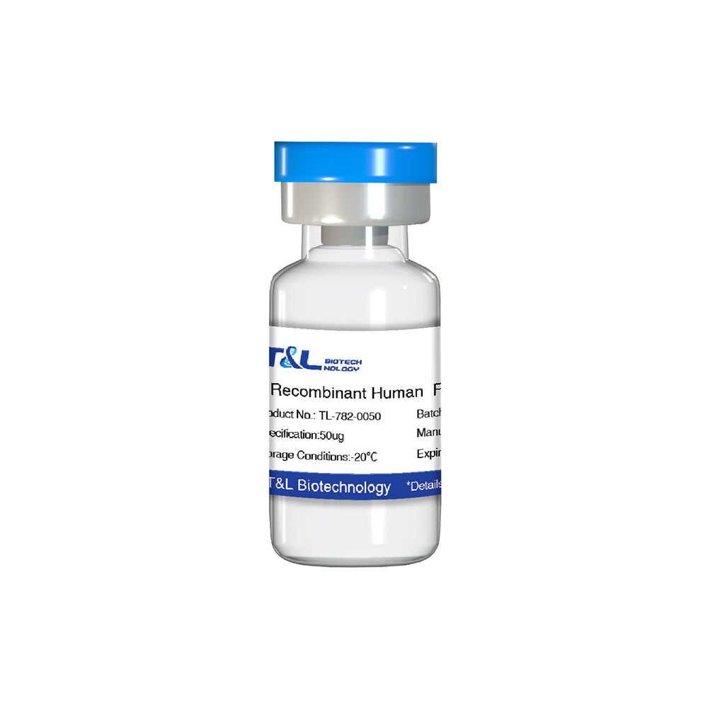 Recombinant Human FGF4 Protein, 50μg