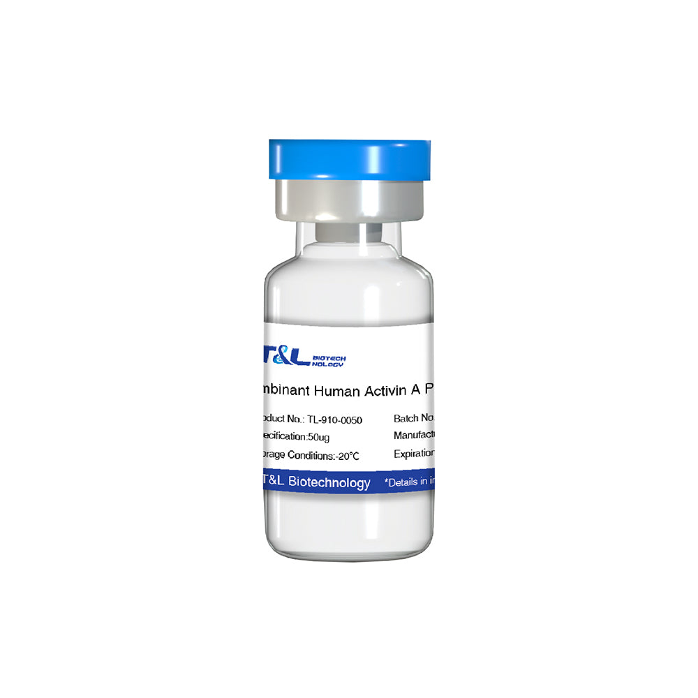 Recombinant Human Activin A Protein, 50μg