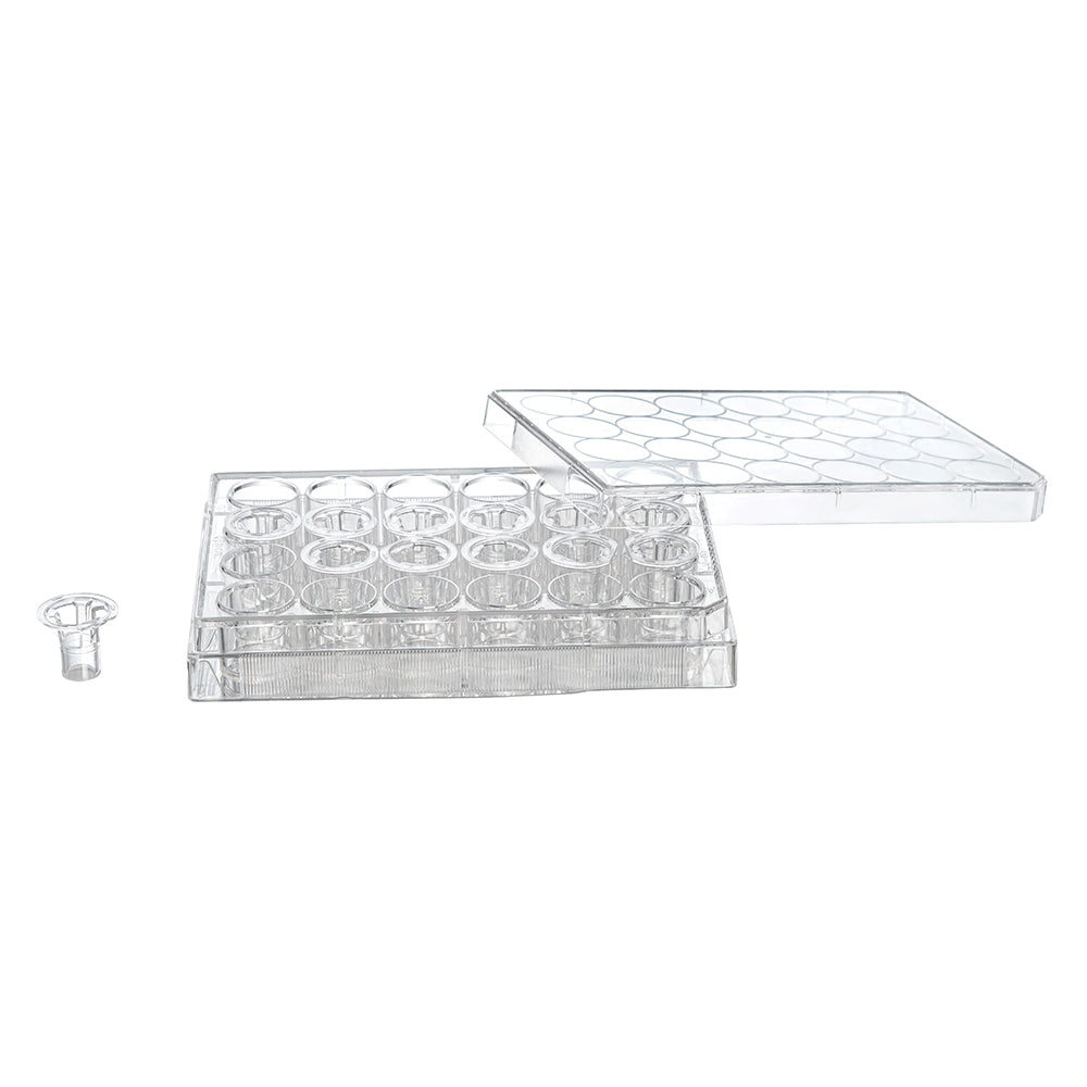 Tissue Culture Plate Inserts, 0.4μm, Membrane diameter6.5mm,24well,PC