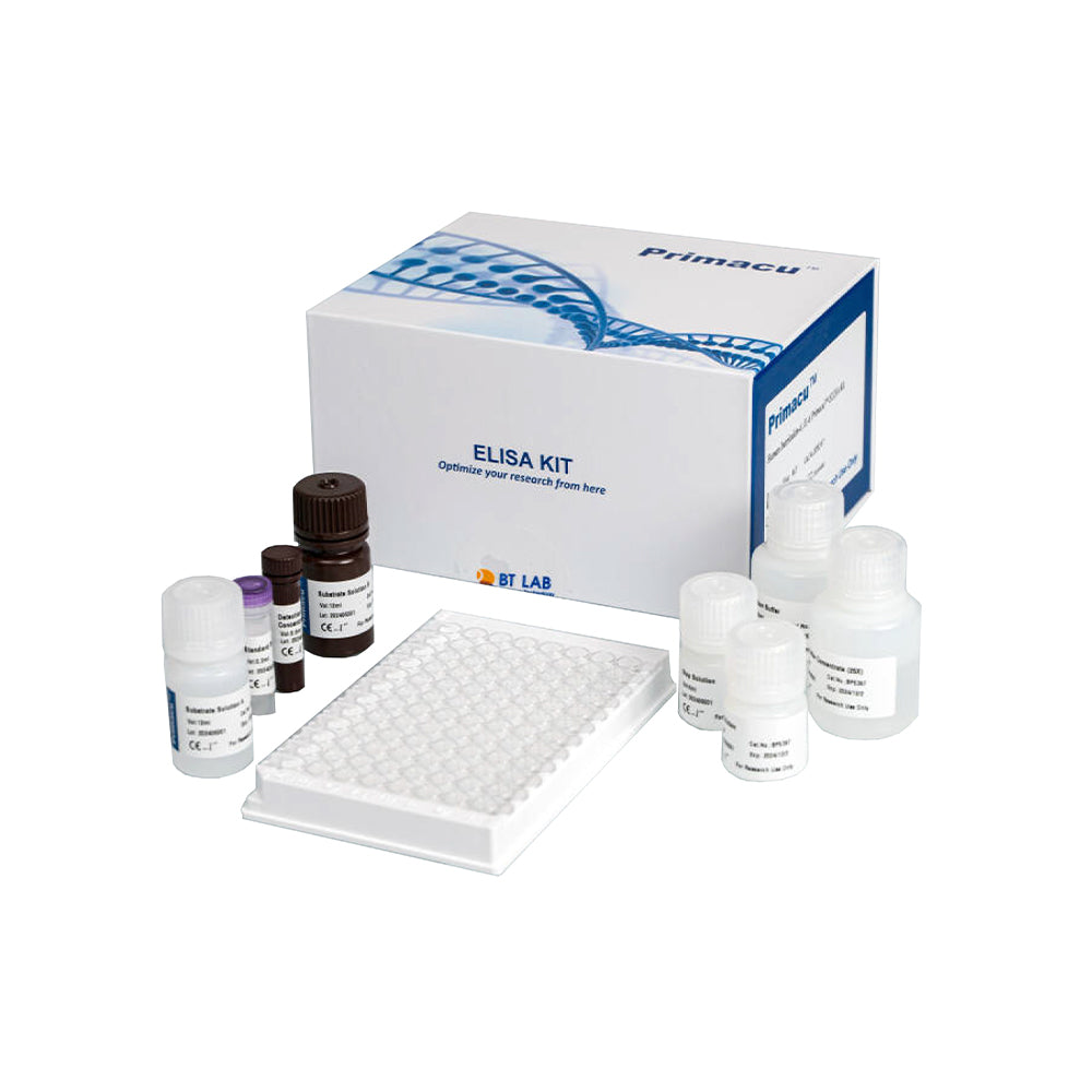 Human C-C Motif Chemokine 5, CCL5 ELISA Kit, 15*96T